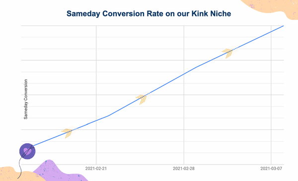 Kink and BDSM Niche dating conversion rate